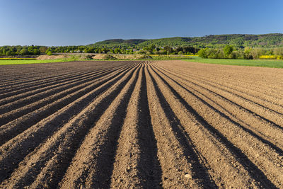 Plowed soil for planting potatoes, visible even rows of soil and sharp shadow of the sun.