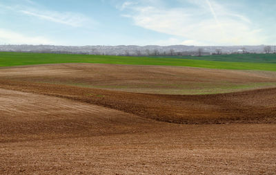 Scenic view of agricultural field against sky