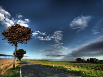 Road amidst trees on field against sky