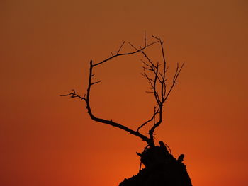 Silhouette bare tree against dramatic sky