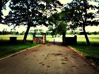 Empty road passing through field