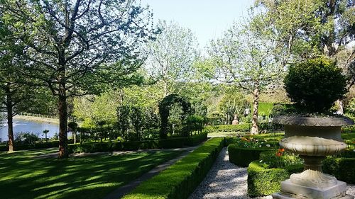 Footpath in park