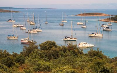 High angle view of sailboats moored at harbor