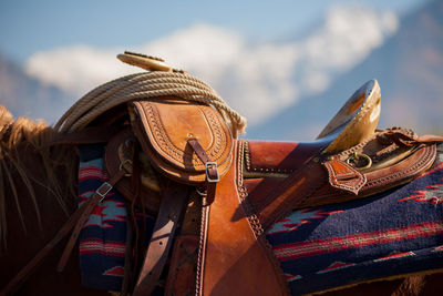 Close-up of horse saddle