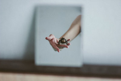 Close-up of hand holding flower reflecting on mirror