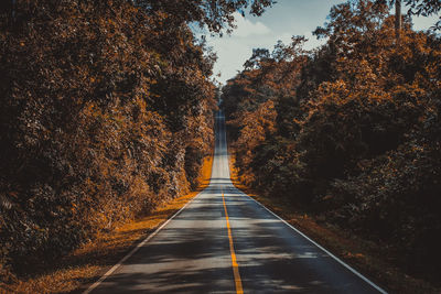 Road amidst trees during autumn