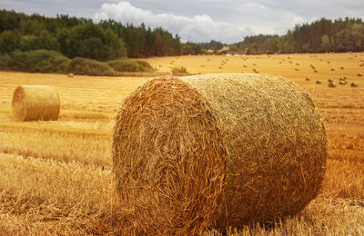 Hay bales on field against sky