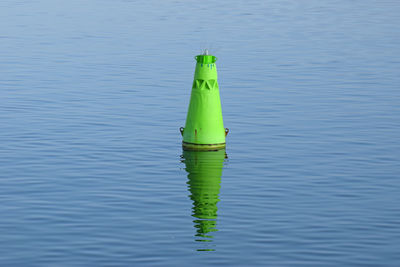 High angle view of green floating on water