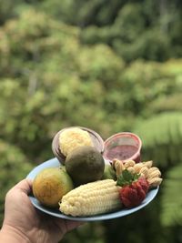 Close-up of hand holding fruits