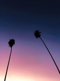 Low angle view of silhouette coconut palm tree against sky at sunset