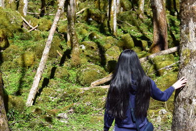 Rear view of woman in forest