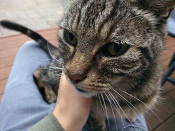 Close-up of human hand at home