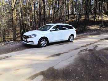 Vintage car on road by trees in forest