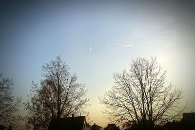 Low angle view of bare trees