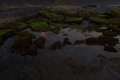 High angle view of rocks in sea