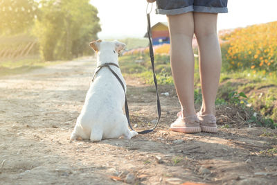 Low section of girl with dog standing on path