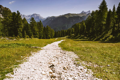 Scenic view of trees and mountains against sky