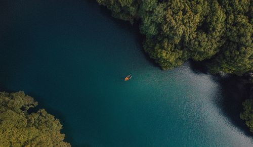 High angle view of boat in sea amidst trees in forest