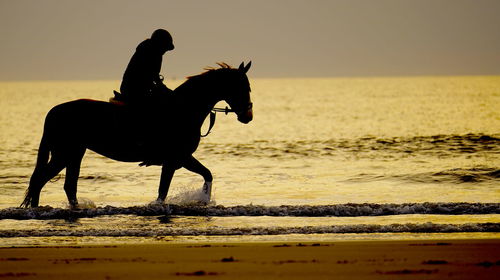 Side view of man riding horse at beach