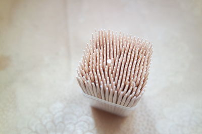 High angle view of shells on table