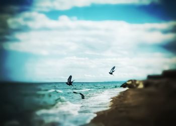 Seagull flying over sea against sky