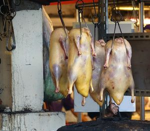 Close-up of meat for sale at market