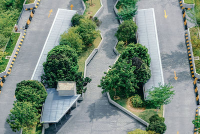 High angle view of street amidst trees in city