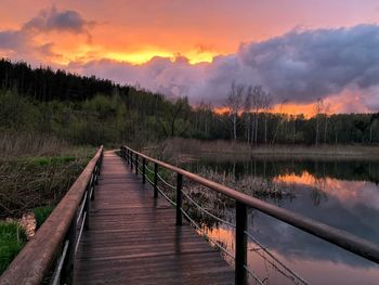 Scenic view of trees against sky during sunset