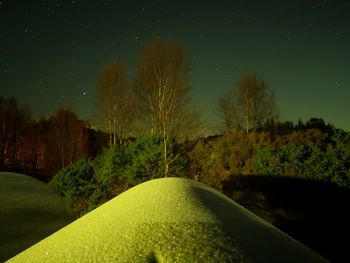 Road amidst trees on field against sky at night