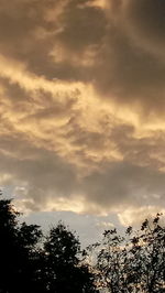 Low angle view of silhouette trees against sky