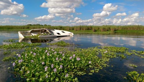 Boats in lake