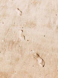 High angle view of footprints on sand