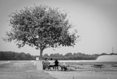 Rear view of couple sitting on bench by tree against sky