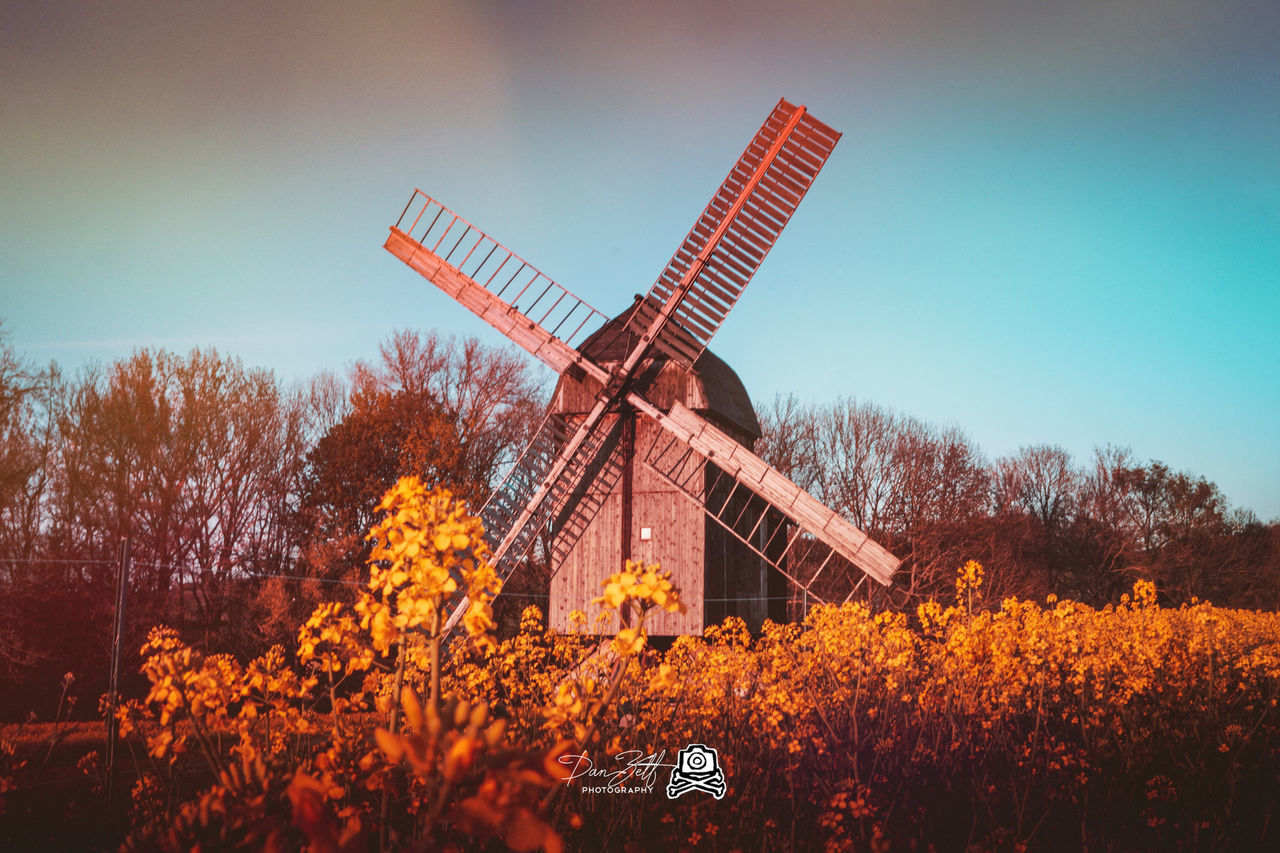 tree, alternative energy, renewable energy, sky, plant, wind turbine, turbine, environment, nature, wind power, environmental conservation, landscape, fuel and power generation, traditional windmill, built structure, land, field, no people, architecture, clear sky, change, outdoors