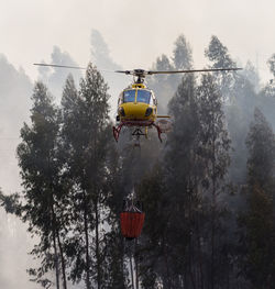 Firefighter helicopter fighting against a forest fire during day in braga, portugal.