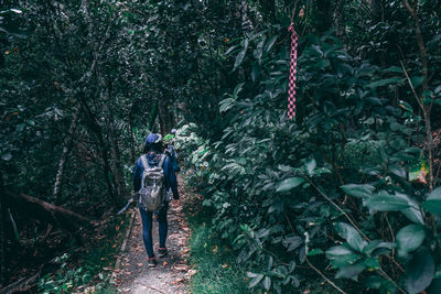 Man walking amidst trees in forest