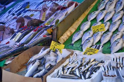 Fish for sale at market stall