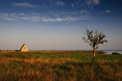 View of landscape against cloudy sky