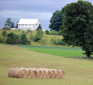 Trees on field against cloudy sky