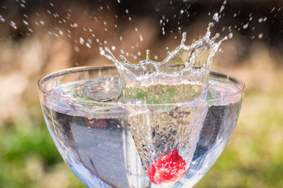 Close-up of fruit falling in splashing drink