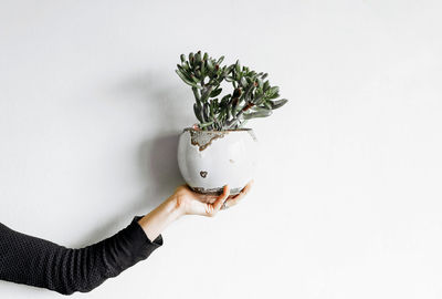 Midsection of woman holding umbrella against white background