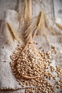 Close-up of wheat