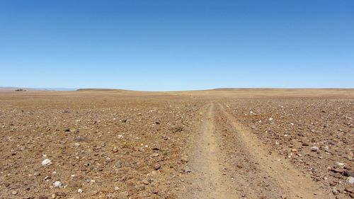 Scenic view of landscape against clear sky