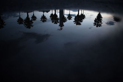 Reflection of silhouette trees and lighthouse