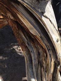 Low angle view of rock formation in cave