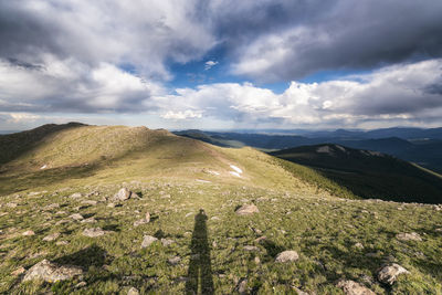 Landscape in the mount evans wilderness