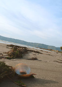 Scenic view of beach against sky