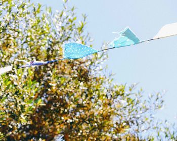 Low angle view of bunting and tree against sky