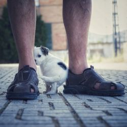 Low section of person with baby on footpath