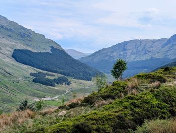 mountain